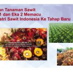 Bahan Tanaman Sawit Eka 1 dan Eka 2 Memacu Industri Sawit Indonesia Ke Tahap Baru
