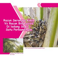Racun Serangga Kimia Vs Racun Biopestisid Di ladang Sawit : Satu Perbandingan