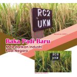 Baka Padi Baru Melestarikan Industri Padi Negara Baka padi baru UKMRC-2.