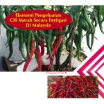 Ekonomi Pengeluaran Cili Merah Secara Fertigasi Di Malaysia