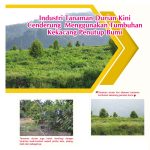 Industri Tanaman Durian Kini Cenderung Menggunakan Tumbuhan Kekacang Penutup Bumi