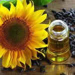 Import Minyak Bunga Matahari India Mencecah Paras Kedua Tertinggi Dan Mungkin Menghalang Kenaikan Harga Minyak Sawit