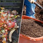 Di Kuantan, Sisa Makanan Ramadan Ditukar Kepada Baja