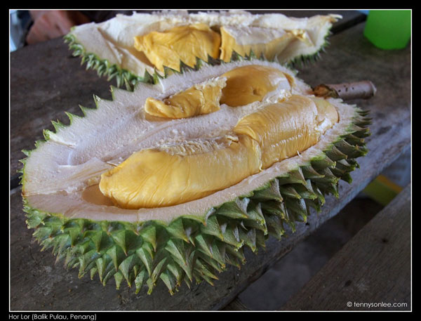 You are currently viewing Musim ini Sedikit Lewat Tetapi Harga Buah Dijangka Lebih Murah