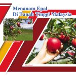 Menanam Epal Di Tanah Tinggi Malaysia
