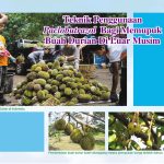 Teknik Penggunaan Paclobutrazol Bagi Memupuk Buah Durian Di Luar Musim