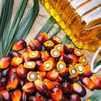 Berhenti Menjual Produk Yang Berlabel “Tanpa Minyak Sawit”, Kata Menteri