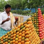 Cabaran Pengeluaran Mangga Berlaku di India Selatan