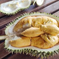 Musim Ini Ada 3 Kali Kutipan Durian Menunggu Anda !