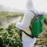 Pahang Membentuk Jawatankuasa Mengawal Penggunaan Racun Perosak Terhadap Hasil Pertanaian