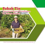 Pokok Tin Tanaman Kuno Diusahakan Di Zaman Moden