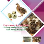 Penternakan Burung Puyuh Pulang Modal Lebih Cepat Dan Menguntungkan