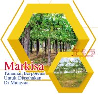 Markisa,Tanaman Berpotensi Untuk Diusahakan Di Malaysia