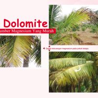 Dolomite，Sumber Magnesium Yang Murah