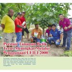 Prestasi Tanaman Betik Terus Meningkat Melalui Penggunaan LEILI 2000