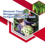 Menanam Timun,Menggunakan Sistem Fertigasi Berasaskan Tanah