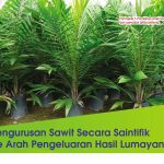 Pengurusan Sawit Secara Saintifik Ke Arah Pengeluaran Hasil Lumayan