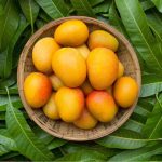 15 Varieti Mangga Terkenal Di India Dan Cara Mengenalinya