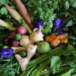 5 Jenis Herba Ini Ada Banyak Manfaat Kesihatan, Paling ‘Top’ Sekarang Ini Herba #4