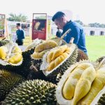 Pulau Pinang Jangka Meraih Hasil Durian RM1b Berikutan Musim Ini Selama Tiga Bulan