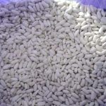 Musim Kacang Putih Mesir Bermula Tidak Lama Lagi