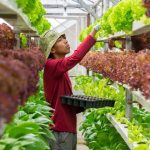 Pelabuhan Klang Mengalu-alukan Kebangkitan Pertanian Menegak