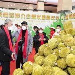 Kegemaran Besar Terhadap Durian!