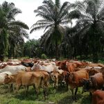 Projek Integrasi Membantu Menjana Pendapatan Sampingan