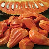 Harga Buah Nangka Berisi Merah di Vietnam Setanding Dengan Harga Durian!