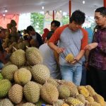 Kegemaran China Terhadap Durian Mencipta Kekayaan Di Asia Tenggara