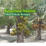 Keperluan Nutrien Oleh Pokok Kelapa