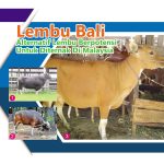 Lembu Bali, Alternatif Lembu Berpotensi Untuk Diternak Di Malaysia