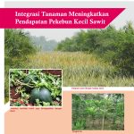 Integrasi Tanaman Meningkatkan Pendapatan Pekebun Kecil Sawit