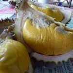 Kementerian mempertimbangkan ‘paten’ antarabangsa untuk Musang King