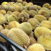 Agro Madani: Fama Menyasarkan Jualan RM2 Juta Di Enam Negeri