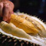 7 Manfaat Kesihatan Durian