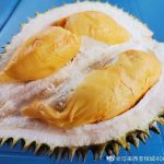 Pengeksport Durian Segar Ke China Perlu Sabar