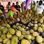 Hab Durian Tangkak Akan Dinaik Taraf