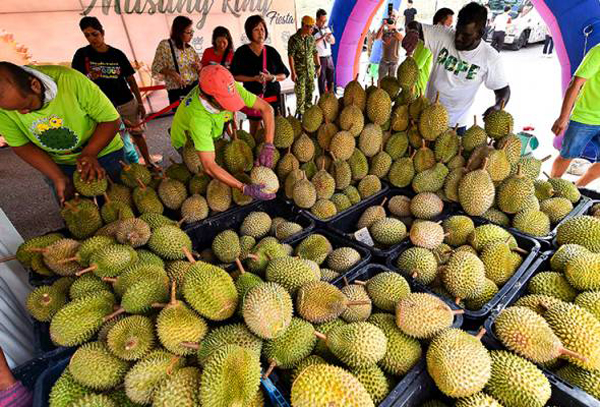 You are currently viewing Hab Durian Tangkak Akan Dinaik Taraf
