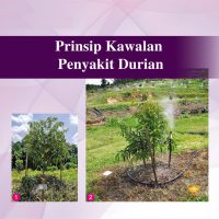Prinsip Kawalan Penyakit Durian