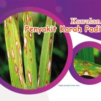 Kawalan Penyakit Karah Padi