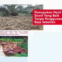 Pemupukan Hasil Sawit Yang Baik Tanpa Penggunaan Baja Sebatian