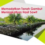 Memadatkan Tanah Gambut Meningkatkan Hasil Sawit