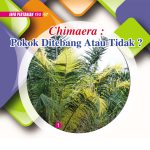 Chimaera Pokok Ditebang Atau Tidak?