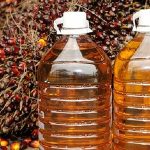 Import Minyak Sayuran India Bulan Julai Melonjak Kepada Rekod Pembelian Sawit Yang Kukuh