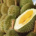 Durian MDUR88 Antara Sasaran Untuk Eksport