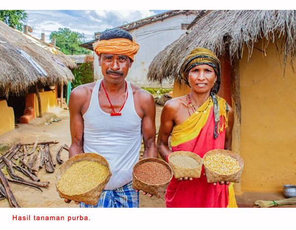You are currently viewing Hari Antarabangsa Orang Asli Sedunia 2024: Membina sistem makanan yang berdaya tahan dengan mengutamakan pertanian orang asli adalah misi yang sukar