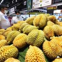 Pasaran Durian Musim Panas China Semakin Hangat Apabila Thailand, Vietnam Bersaing Untuk Kedudukan Teratas