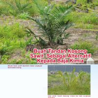 Buah Tandan Kosong Sawit Sebagai Alternatif Kepada Baja Kimia