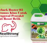 Dieback Buster 95 Dirumus Khas Untuk Mengawal Penyakit Mati Rosot Betik